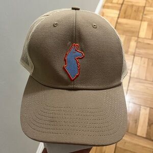 Cotopaxi Llama Trucker Hat